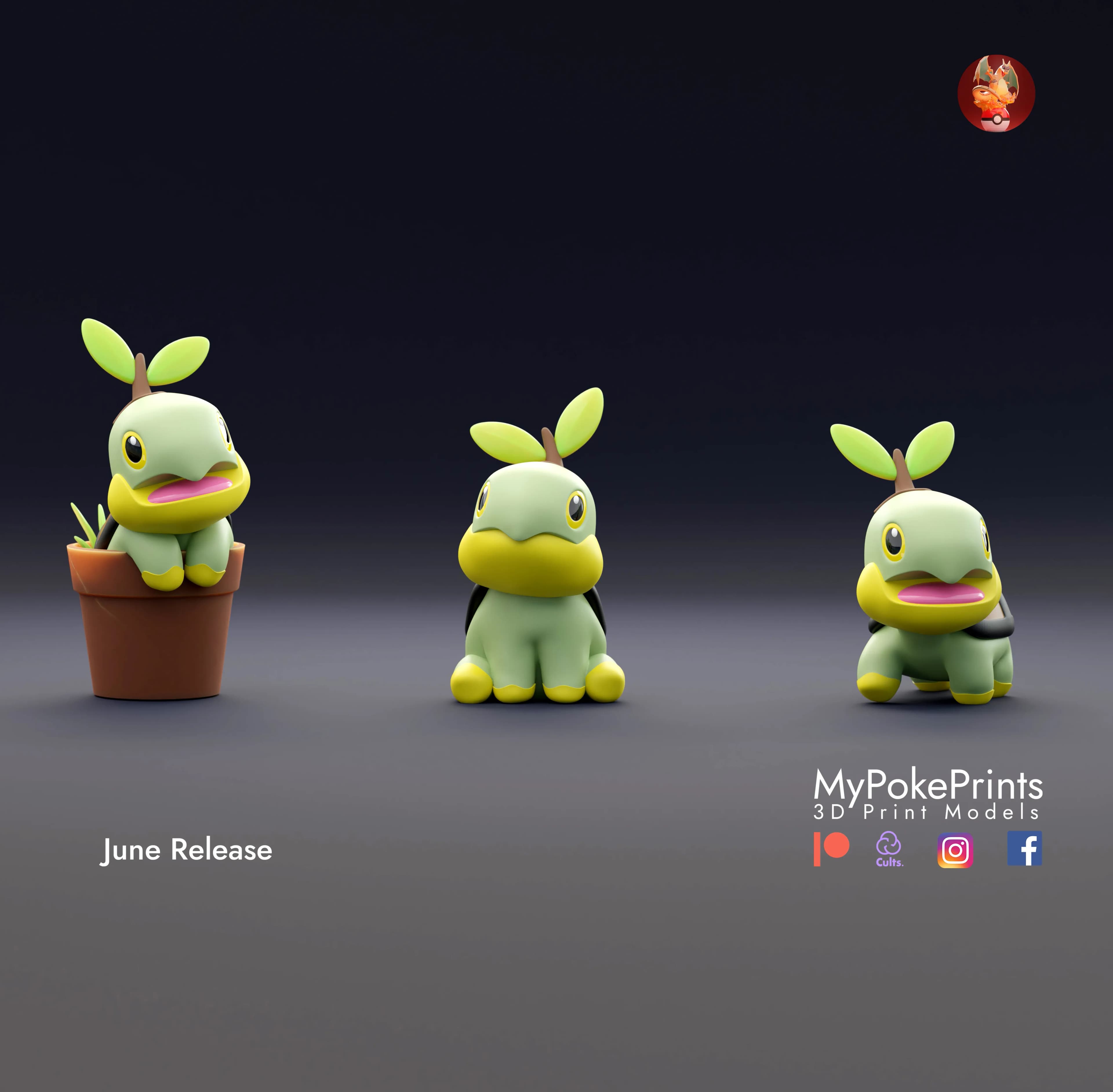 Turtwig - Imagen 1